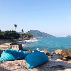 Rear view of people looking at sea against clear sky