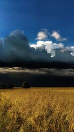 Scenic view of field against cloudy sky