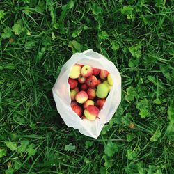 Directly above shot of apples in bag on field