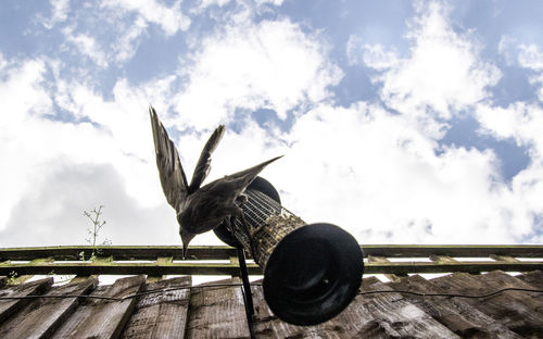 Low angle view of bird perching on roof against sky