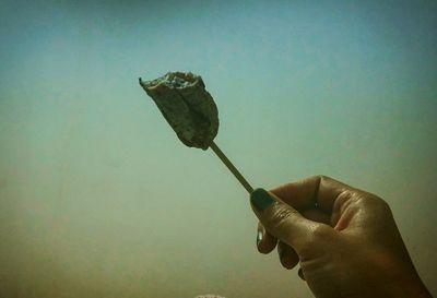 Close-up of hand holding leaf