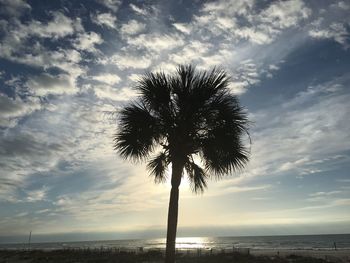 Palm trees by sea against cloudy sky