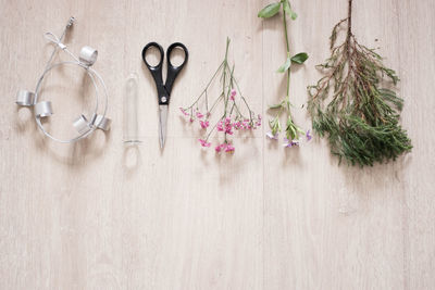 Directly above shot of potted plant on table