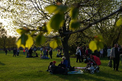 People sitting at park against sky