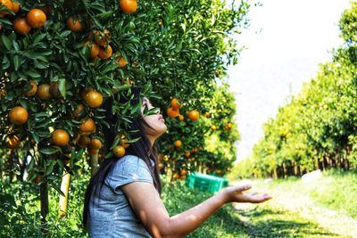 Low angle view of man holding orange tree