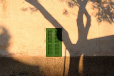 Shadow of person on wall