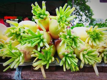 Close-up of fruit on table