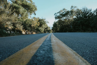 Empty road along trees
