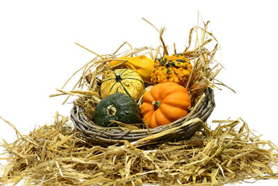 Close-up of pumpkins against white background