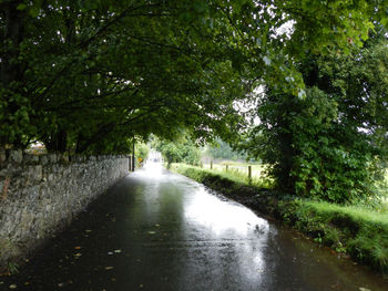 View of canal along trees