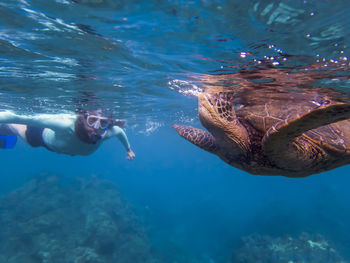 Woman swimming by turtle in sea