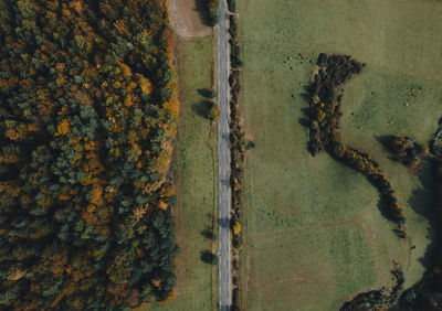 High angle view of trees