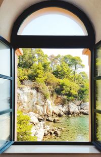 View of trees seen through window