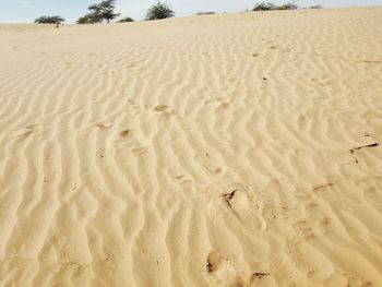 High angle view of footprints on sand at beach