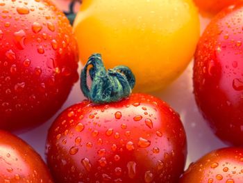 Close-up of fresh strawberries