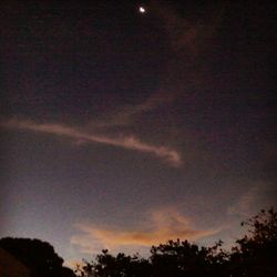 Low angle view of silhouette trees against sky at night