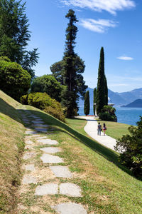 People walking on footpath by trees against sky