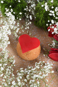 High angle view of red rose flower on rock