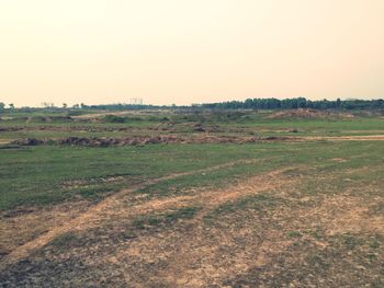 Scenic view of grassy field against sky