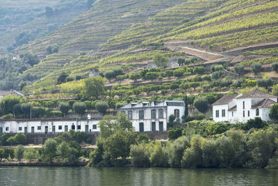 Landscape in the douro river, alto douro wine valley