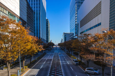 Road amidst buildings in city during autumn