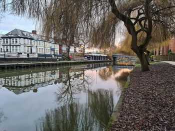 Reflection of trees and buildings in lake