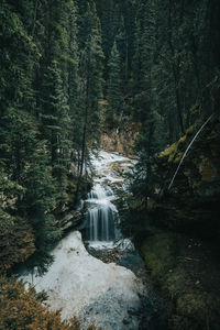 Water cuts through rock and snow on it's way through johnston canyon.