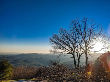 Silhouette bare tree on landscape against clear sky