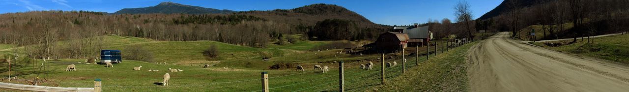 Scenic view of landscape against sky