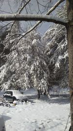 Snow covered trees against sky