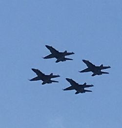 Low angle view of birds flying against clear sky