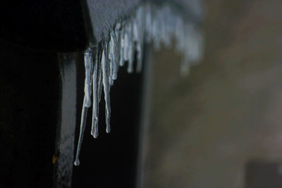 Close-up of objects on wood