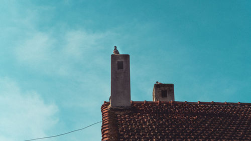 Low angle view of dolves perching on roof against sky