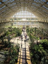 High angle view of people in greenhouse