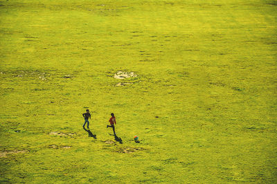 People on grass by pond