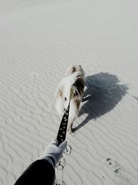 Cropped image of person walking with dog on sandy beach