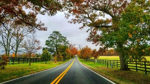 Road amidst trees against sky