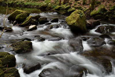 Stream flowing through rocks in forest