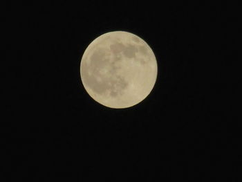 Low angle view of moon in sky at night