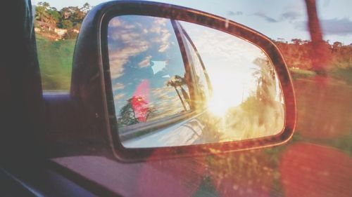 Reflection of trees in side-view mirror