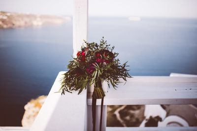 Close-up of flower by sea against sky