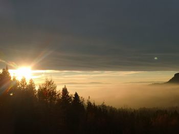 Silhouette trees against sky during sunset