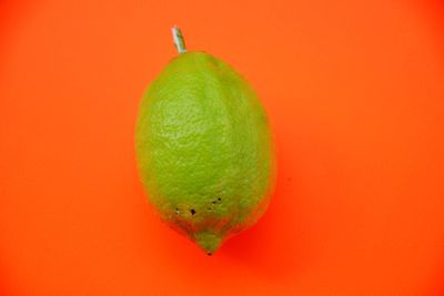 Close-up of lemon slice against orange background