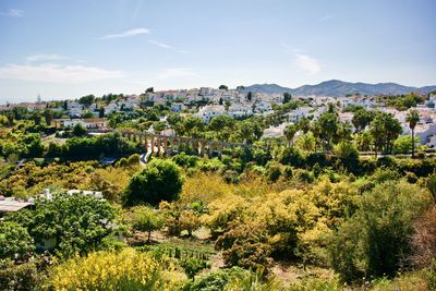 Trees and townscape against sky