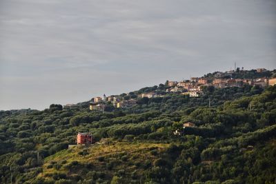 Scenic view of trees and buildings against sky
