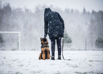 View of dog on snow covered land