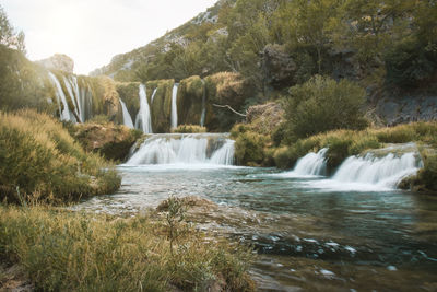 Scenic view of waterfall in forest