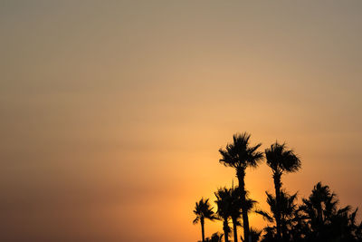 Silhouette palm trees against romantic sky at sunset