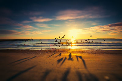 Scenic view of sea at sunset