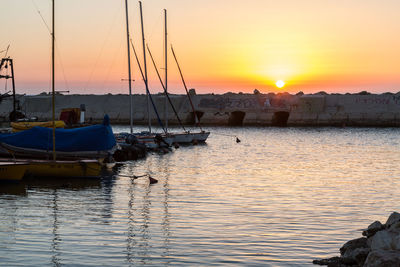 Sailboats moored in marina at sunset